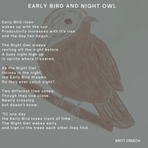 8x8 Early Bird and Night Owl