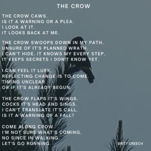 8x8 The Crow